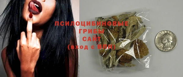 шишки Абдулино