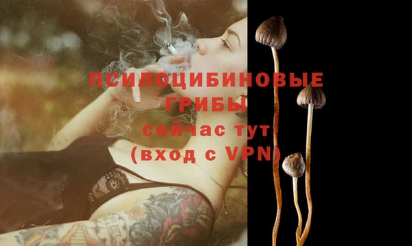 шишки Абдулино