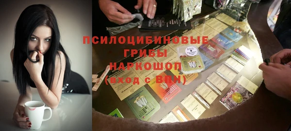 шишки Абдулино