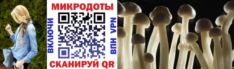 Галлюциногенные грибы Cubensis Нахабино